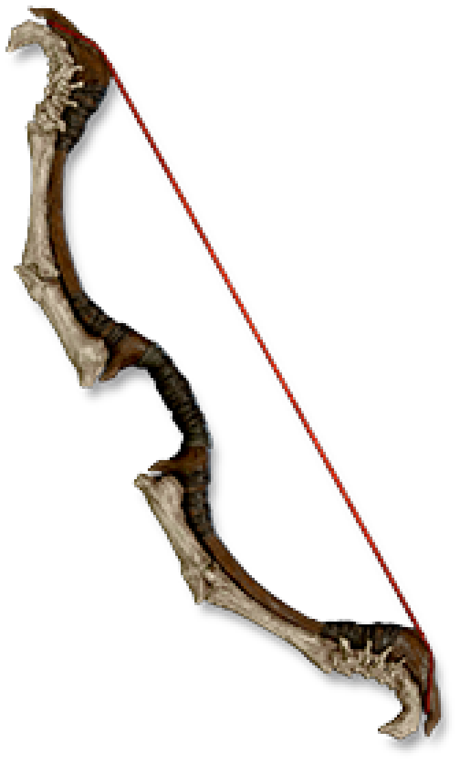 Rogue's Bow
